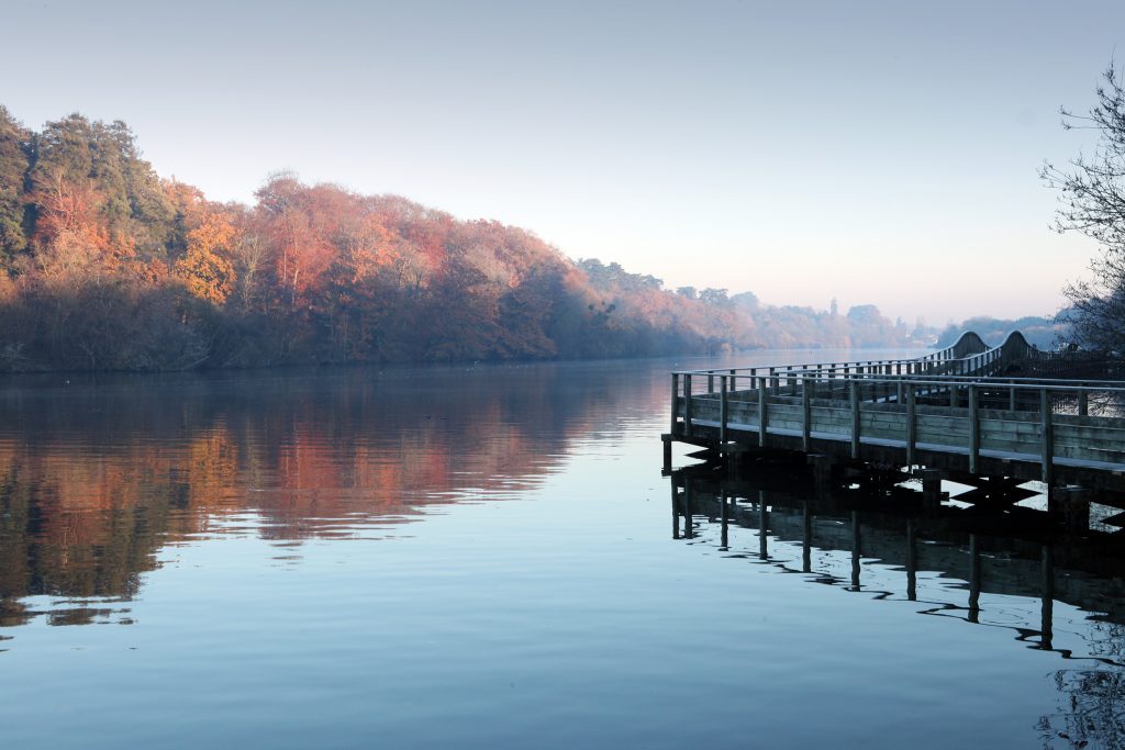 photography-outings-boating-nantes-ruban-vert-2