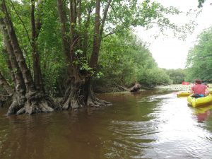 canoës kayak Gesvres