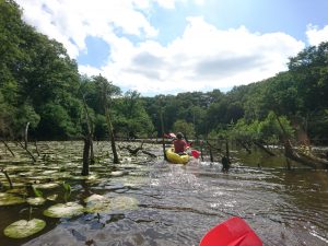 canoës kayak Gesvres